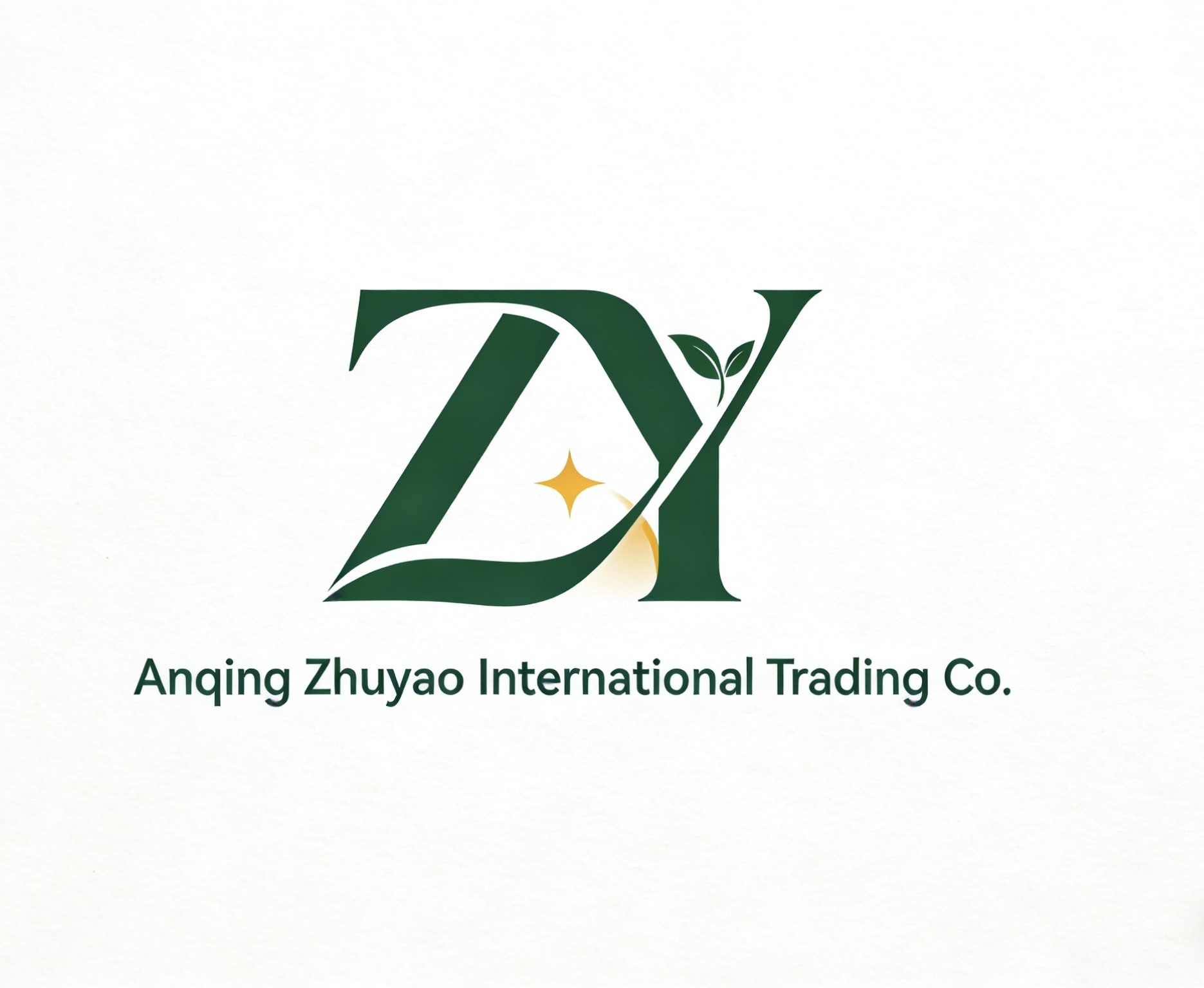 Anqing Zhuyao International Trade Co., Ltd. logo