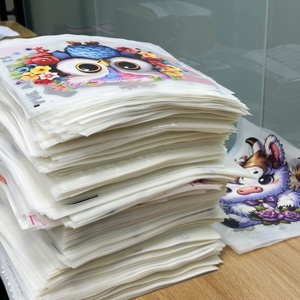 <span class=keywords><strong>Adesivi</strong></span> in Vinile Termoadesivi Personalizzati Campioni di Vendite <span class=keywords><strong>per</strong></span> Stampa DTF, Materiale Plastisol PET Lavabile <span class=keywords><strong>per</strong></span> Stampa a Trasferimento Termico su T-shirt e Cappelli - Product Image 1