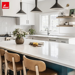 AllandCabinet New York Portes coulissantes pour villas, qualité Mbf Board, armoires de <span class=keywords><strong>cuisine</strong></span> fines de style shaker avec charnières à fermeture douce - Product Image 6