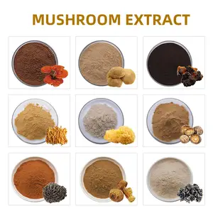 Tea Tree Mushroom Extract Polysaccharide Agrocybe Aegerita Extract Powder