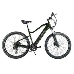 ADA 2019 从中国电动自行车批发; 电动自行车便宜; 自行车从中国进口到印度