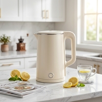 Bouilloire électrique sans fil en acier inoxydable à double paroi pour appareils de cuisine, vente directe d'usine