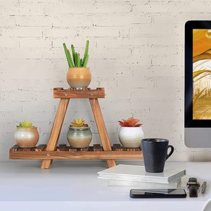 Support <span class=keywords><strong>pour</strong></span> plantes en bois à 2 niveaux <span class=keywords><strong>Petit</strong></span> présentoir <span class=keywords><strong>pour</strong></span> plantes d'intérieur et d'extérieur Organisateur <span class=keywords><strong>pour</strong></span> le salon, le balcon et le jardin - Product Image 6