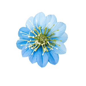 Fleurs artificielles en soie style français, en fil de fer, faits main, fabriquées en Chine, TXL-766, fournitures pour emballage floral, décoration de salle de mariage - Product Image 1