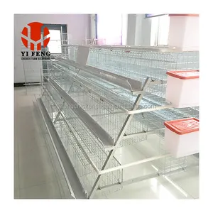 Professional Design Poultry Farm Chicken Coop A Type Large Capacity Egg Laying Hens Chicken Cage