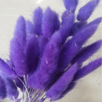 Herbe de queue de lapin séchée blanche naturelle Lagurus Ovatus, bouquet de fleurs séchées moelleuses pour la décoration de la maison et de mariage