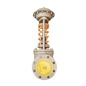 Regulador de Cilindro de Gas con Control Integrado para Almacenamiento de Alta Presión, Regulador de Agua ZZYP 100, Suministro de Fábrica - Product Image 2