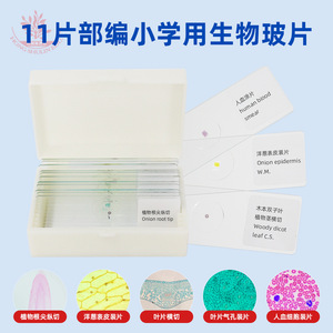 Vente en gros de spécimens biologiques sur glissière en vrac. Matériel pédagogique pour l'école primaire : 11 types de supports fins et très translucides - Product Image 3