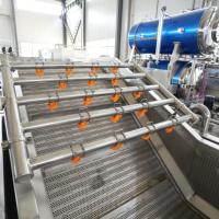 Gloednieuwe automatische industriële fruit- en groenteverwerkingslijn, schone groenteverwerkingslijn