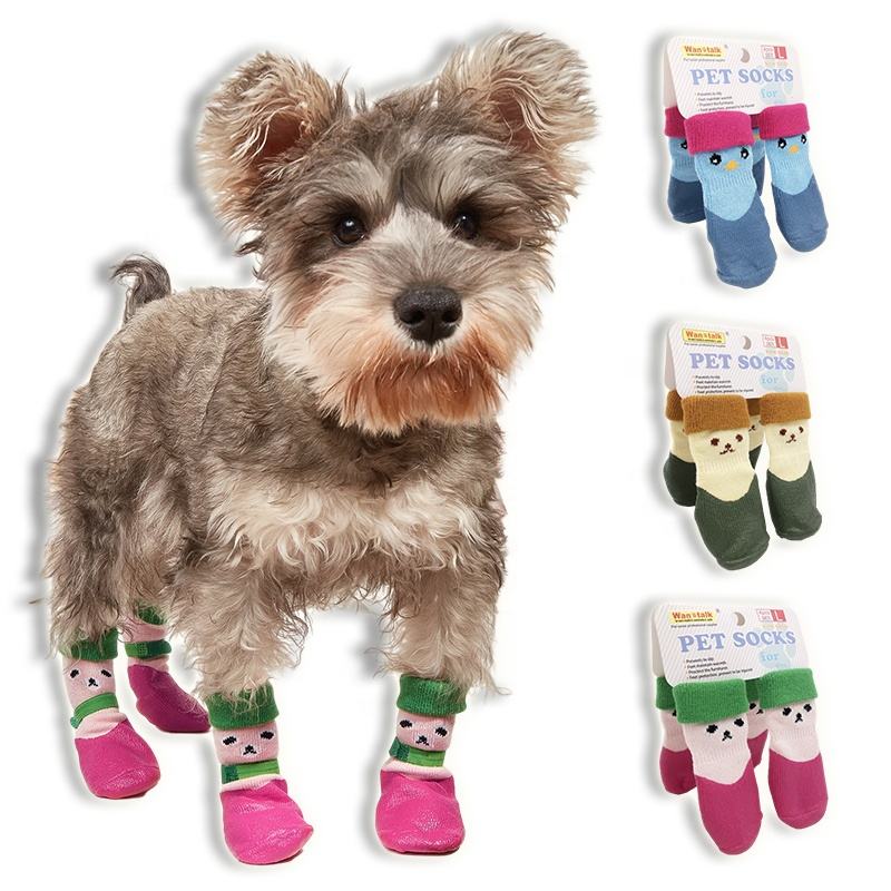 Can Dogs Wear Socks Outside