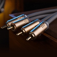 Auidophile Câble audio stéréo mâle 2RCA Cordon analogique cuivre argenté pour Subs Hi-Fi Home Cinéma Lecteur DVD Blu-ray Microphone
