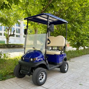 48V 모터 및 배터리로 관광 해변 휴가를위한 접이식 전기 미니 골프 카트 새로운 모델 - Product Image 2