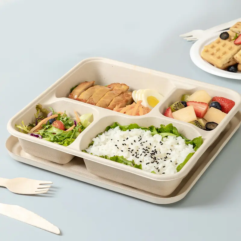 rectangle compostable sugarcane bagasse plates 4 compartment with lid food dessert