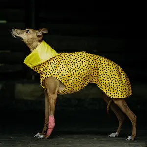Qiqu لوازم الحيوانات الأليفة معطف مطر فاخر بتصميم جديد مخصص للكلب معطف مطر مقاوم للماء للكلب اليدوي الكلب الكلب الإيطالي