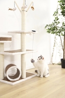 Petstar Mainan Kucing Gerak Elektronik, Mainan Penggoda Kucing Pintar Interaktif Otomatis, Bola Pengangkat Kucing untuk Kucing