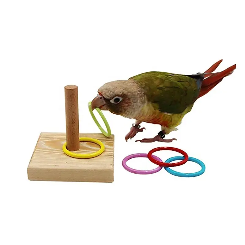 애완 동물 용품 저렴한 앵무새 지능 퍼즐 링 장난감 귀여운 내구성 서클 다채로운 링 앵무새 훈련 장난감 나무 스탠드