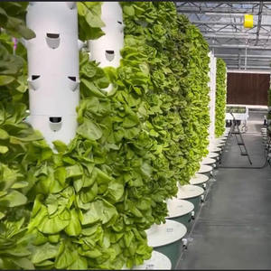 Systèmes de culture hydroponique Nouvelle <span class=keywords><strong>serre</strong></span> agricole Système hydroponique aéroponique d'intérieur Tour d'ananas <span class=keywords><strong>Jardin</strong></span> - Product Image 3