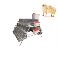 Ferme avicole Cage à poulets pour pondeuses Élevage de volailles
