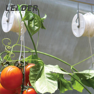 Agricoltura multi span serra regolabile melone pomodoro semina supporto per coltivazione gancio a rullo appeso con spago resistente ai raggi uv - Product Image 6