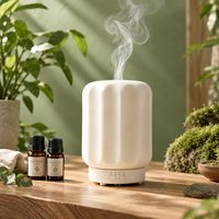 Diffuseur d'arômes électrique USB, diffuseur de parfum en verre, humidificateur avec lumière LED