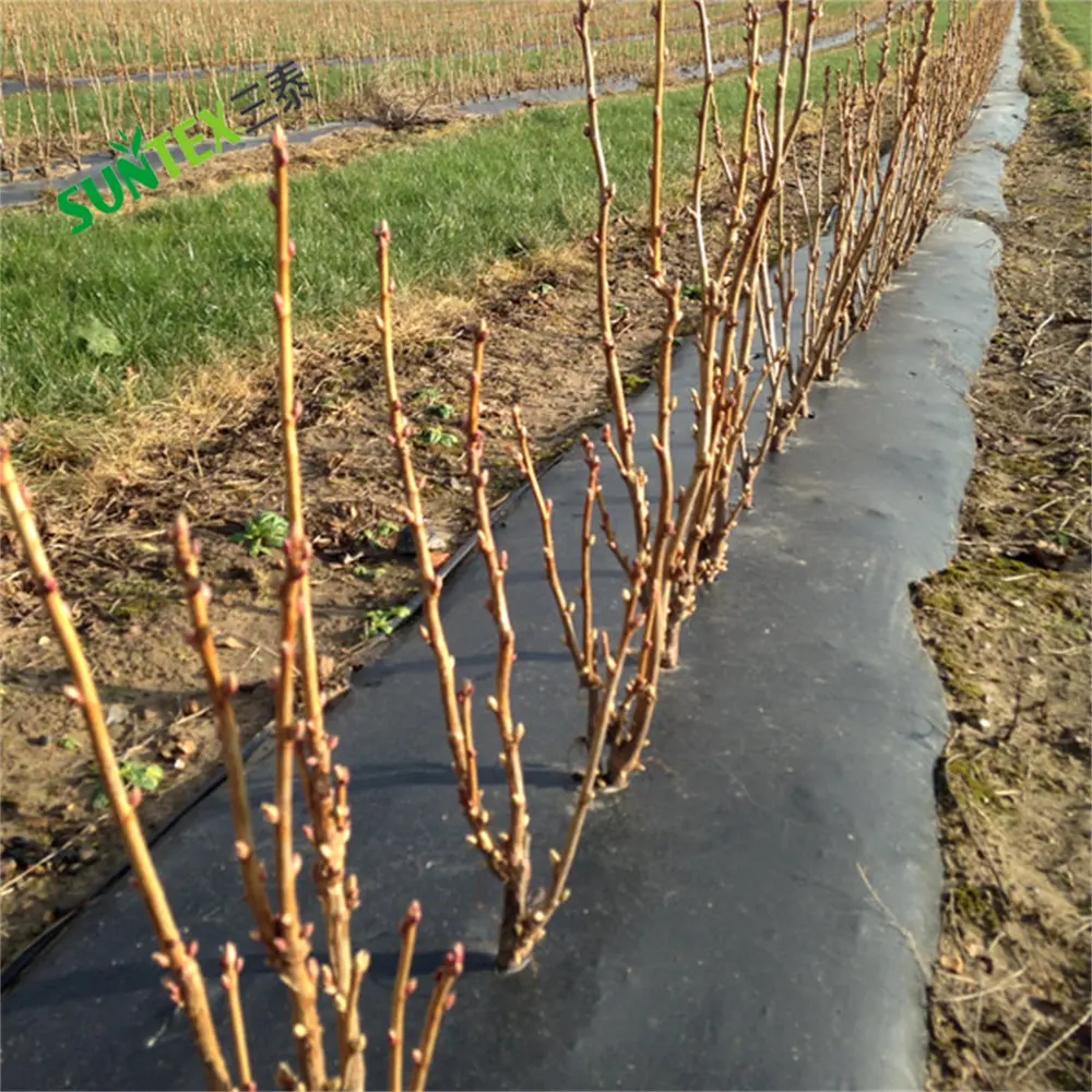 Afbreekbaar Zwart Plastic Mulch 0.5 Mil, Anti Gras Vriendelijke Mulch Laag Voor Planten