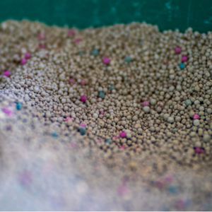 Litière pour chats en bentonite premium super absorbante et sans poussière, 10 kg, Sodium Clumping Arena Para Gatos - Product Image 6