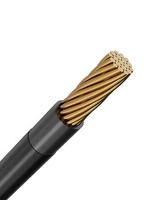 Câble électrique pour bâtiment THHN THWN 600V, conducteur en cuivre nu, isolation en PVC, gaine en nylon, AWG, câblage domestique