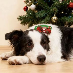 Entrega Rápida, Lazos Navideños para Perros Pequeños y Gatos, Lazos para Mascotas en Poliéster para el Invierno para Amigos Peludos - Product Image 5