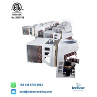 Grosir peralatan pendinginan Unit Monoblock ETL efisien tinggi untuk Freezer/ruang pendingin dan ruang dingin di AS