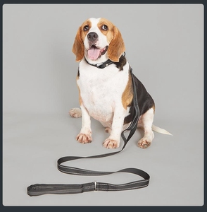 Venta al por mayor <span class=keywords><strong>de</strong></span> alta calidad Material <span class=keywords><strong>de</strong></span> nylon Pet Tag <span class=keywords><strong>Airtag</strong></span> Collar <span class=keywords><strong>de</strong></span> perro con impermeable Air Tag Holder - Product Image 2