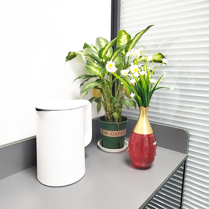 <span class=keywords><strong>Extincteur</strong></span> de vase jetable de haute qualité à bas prix - Product Image 4