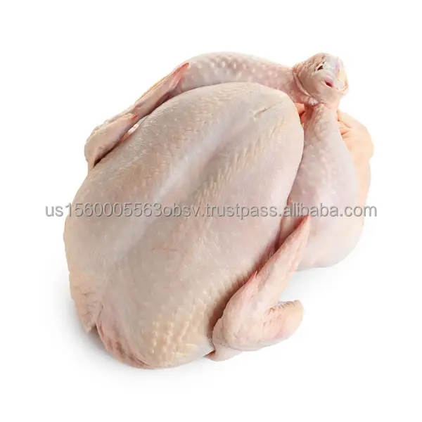 Frozen Whole Turkeys Affordable Prices