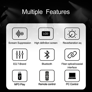 Professional 2nd Generation <strong>DSP</strong> <strong>Audio</strong> Effects Processor Digital <strong>Audio</strong> <strong>Management</strong> System for Metal <strong>Speakers</strong> - Product Image 5