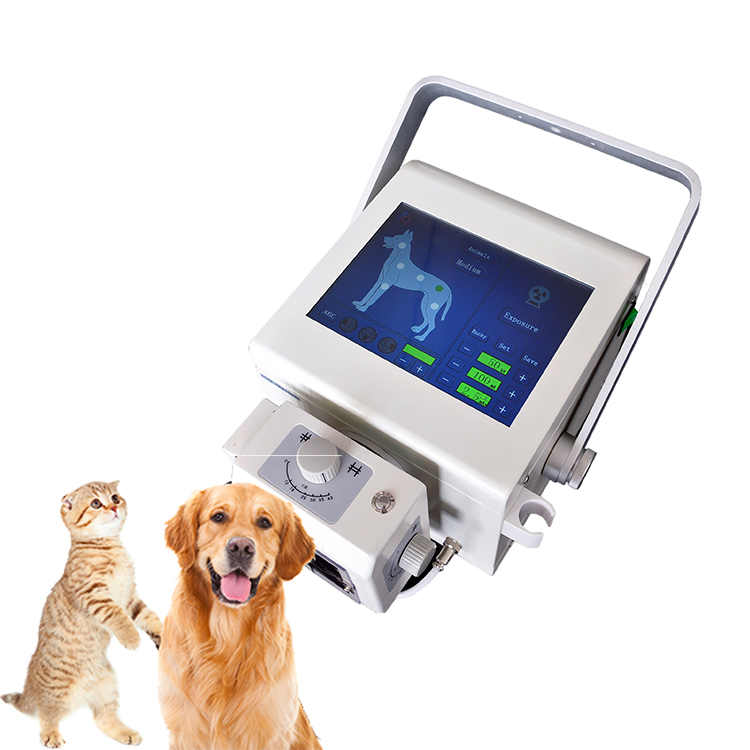 Precios de equipos de rayos X veterinarios digitales portátiles de alta frecuencia con entrega rápida