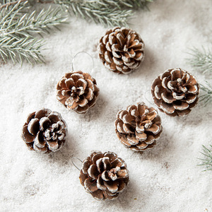 Décoration <span class=keywords><strong>de</strong></span> Noël : Cônes <span class=keywords><strong>de</strong></span> pin, ornements <span class=keywords><strong>en</strong></span> <span class=keywords><strong>bois</strong></span> pour <span class=keywords><strong>sapin</strong></span> <span class=keywords><strong>de</strong></span> Noël, pendentifs <span class=keywords><strong>de</strong></span> Noël <span class=keywords><strong>en</strong></span> forme <span class=keywords><strong>de</strong></span> cône <span class=keywords><strong>de</strong></span> pin pour le Nouvel An - Product Image 5