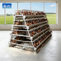 Avicultura de gallinas ponedoras de 4 niveles tipo batería para la producción de huevos