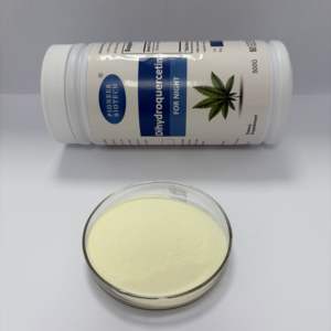 Cápsulas de Dihidroquercetina para la Salud del Corazón y Celular - Product Image 1