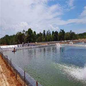 Best verkochte op maat gemaakte liner voor visvijver en garnalenvijver - Product Image 6