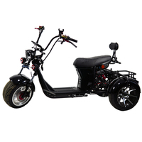 Yeni model üç tekerlekli bisiklet e-kıyıcı 2000w Golf sahası kullanımı için güçlü elektrikli Scooter