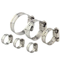 Collier de serrage à vis sans fin en acier inoxydable 304 de type allemand pour raccord de tuyau d'eau automobile, tailles personnalisées, conformité DIN