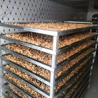 Séchoir à air chaud pour noix de cajou, noisettes, pecans et arachides – Machine de séchage à pompe à chaleur