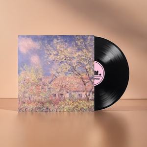 7 10 12 pouces Lp disque de musique personnalisé tourne-disque vinyle pressage de disque vinyle - Product Image 4