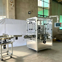 Équipement de mise en carton pour flacons de gouttes oculaires BFH-160, inséreur automatique de prospectus et érecteur de cartons, contrôle PLC