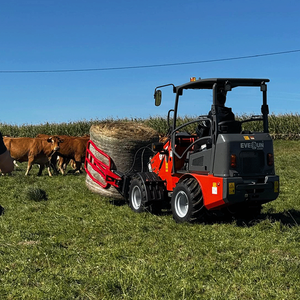 EVERUN all'ingrosso di nuovi prodotti compatti pale telescopiche ruote Mini caricatore Radlader Teleskoplader per la vendita - Product Image 4