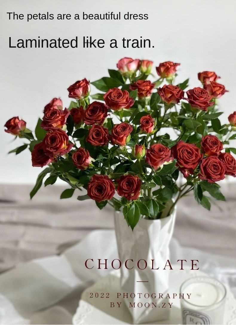 คลาส AB สิบแพ็ค