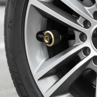 Sensor TPMS Universal BLE 5.0 con Soporte para Aplicaciones Android e iOS, Antirrobo e Impermeable para Auto y Motocicleta