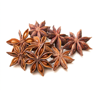 Anís estrellado indio 100% puro, seco, natural, en especias enteras, procedente de Gujarat, envasado a granel de 25 kg, para distribuidores mayoristas y negocios de alimentos. - Product Image 1