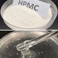 Polvo de Hidroxipropilmetilcelulosa (HPMC) Marca TANGZHI, Grado EIFS, 99.9% de Pureza, Alta Retención de Agua, Anti-Caída, 25kg/bolsa