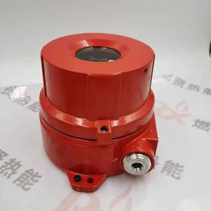 Détecteur de gaz toxique FS24X-911-23-1 pour STOCK20 - Product Image 2