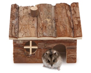 Cage de luxe moderne et écologique pour petits animaux, maison de hamster en bois massif, <span class=keywords><strong>cabane</strong></span> en forme de trou d'arbre pour souris de hamsters nains - Product Image 1